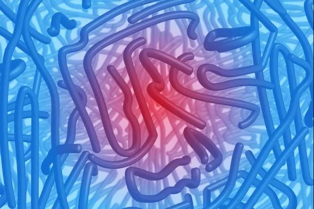 （图片来源：ChelseaTurner/MIT）