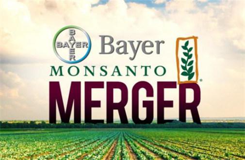 拜耳纠结收购孟山都之后称号成绩