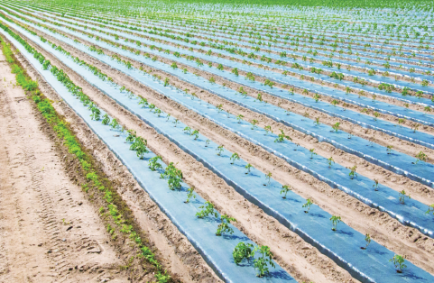 攻克全生物降解塑料地膜的技术瓶颈