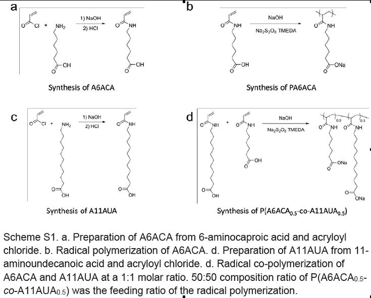 pH敏化聚合物凝胶：长效药物保送的新资料