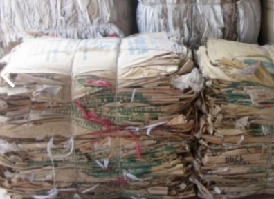 一头死去的抹香鲸的胃