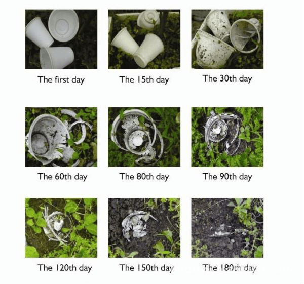 可降解资料的应用与开展