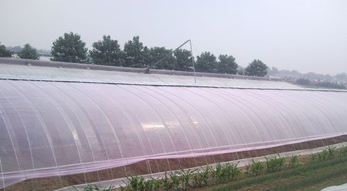 农膜的时节性需求对聚乙烯有哪些影响呢?