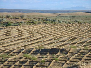 防沙治沙新资料－高密度聚乙烯资料