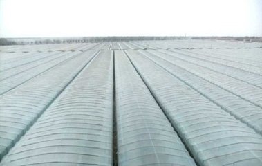 2020年我国当季地膜回收运用率将达80%以上