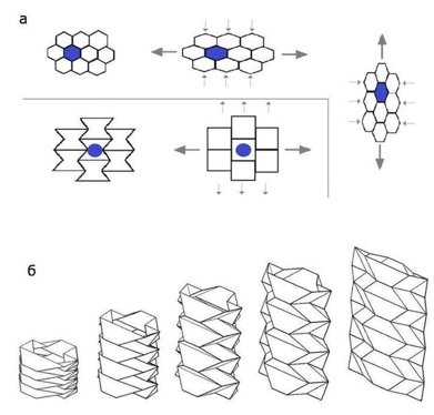 石墨烯：可改变的泊松比和受拉收缩的异常行为