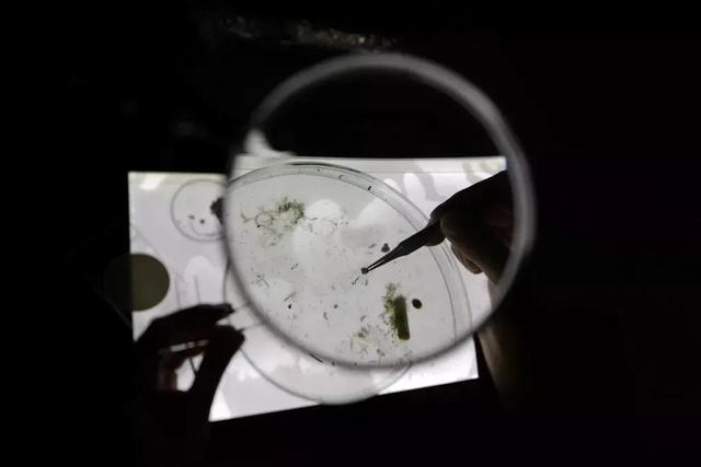 微塑料出现在了人体内