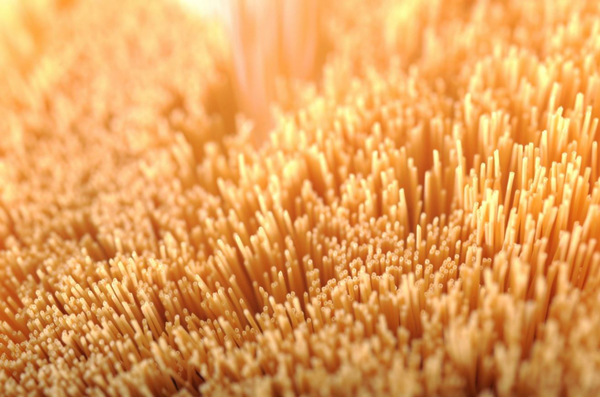 赢创推出用于高效氮气分别的中空纤维分别膜