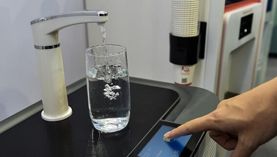 神奇水解酶专“吃”塑料