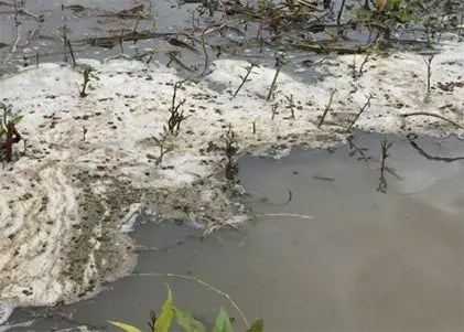 德克萨斯州勒令台塑施行塑料颗粒回收方案