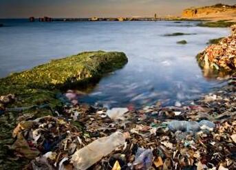 今天你吞下了多少塑料颗粒？