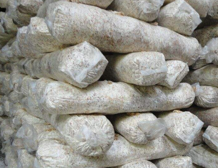 废弃食用菌袋净化防治，政府主导、量体裁衣