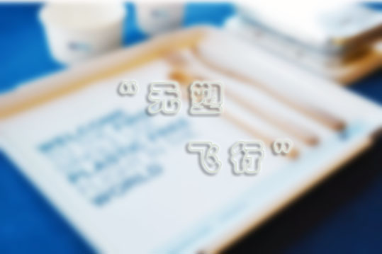 航空公司对一次性物品的消费状况停止盘点