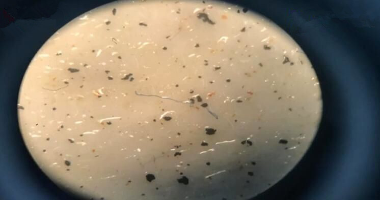 南极发现海洋PM2.5