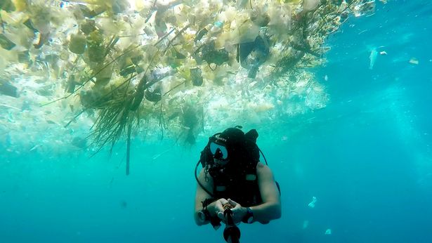 英男子潜水记录巴厘岛海洋污染 塑料垃圾触目惊心