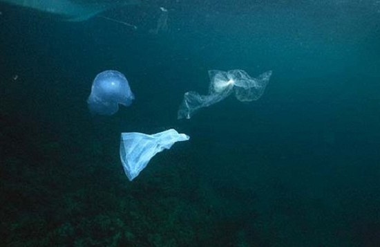 浓度已然超过海水 日本发现微塑料危害正急剧增加