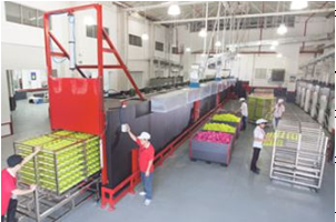 实地采风：质控和知识产权维护助法企在华完成成功