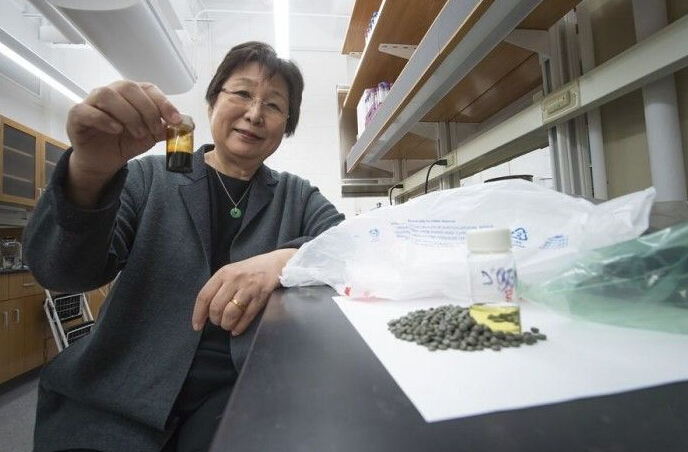 地球环境面临的宏大危机--塑料渣滓泛滥