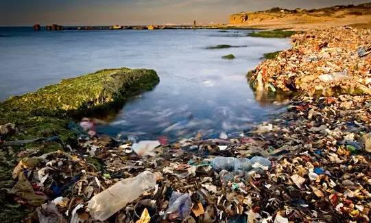 其浓度已然超越海水 微塑料的危害正急剧添加