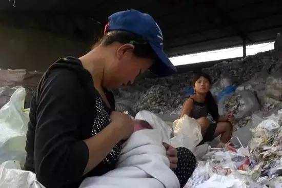 “白色污染”那么严重 为什么还大批量进口废塑料?