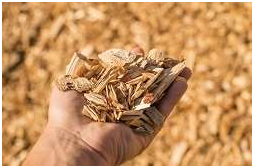 人们对生物基化学品需求日益增长