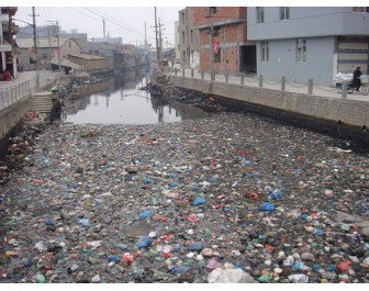 回绝塑料星球 植物蛋白变可降解塑料