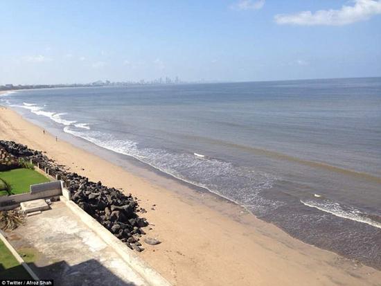 文章1-21 印度孟买85周内清除了海滩上500万公斤塑料.jpg