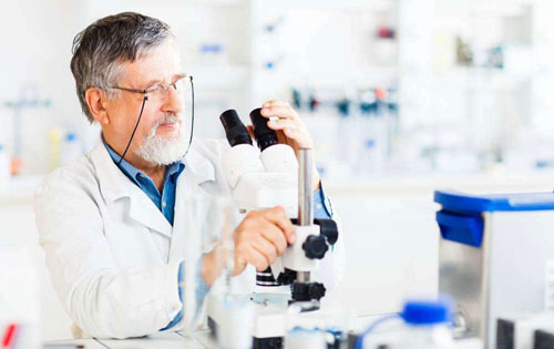 对真菌进行合理的开发和使用，塑料 自然分解