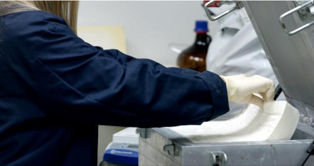 福特欲研发多款车用生物资料 用于制造车用部件